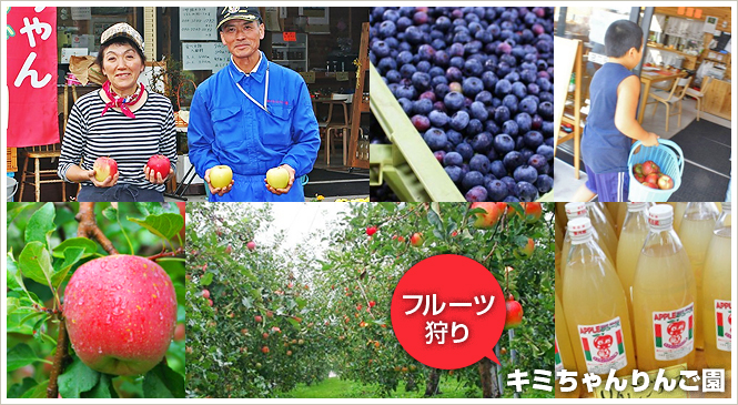 フルーツ狩りのできる渋川市赤城町の「キミちゃんりんご園」