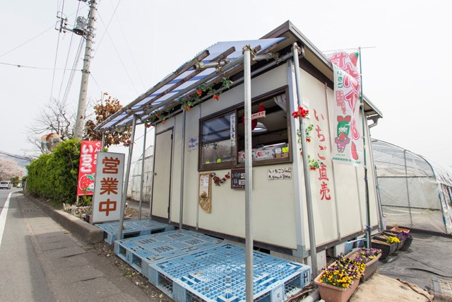 石田いちご園 群馬 沼田のいちご狩り