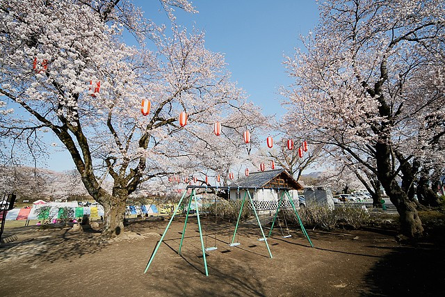 沼田公園 群馬県沼田市西倉内町のお花見スポット