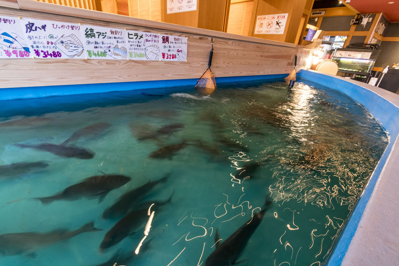 大漁船華まつり 伊勢崎市の活魚料理ともつ鍋が人気の居酒屋