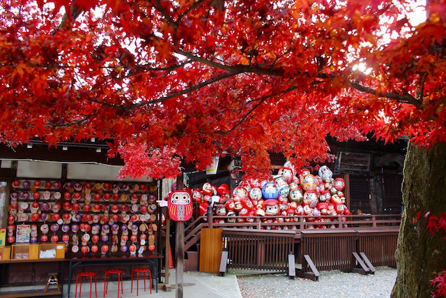 紅葉情報 - 観光案内 - 少林山達磨寺