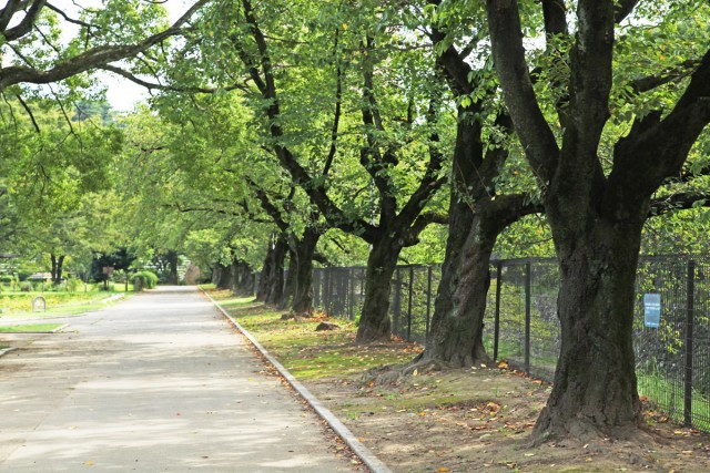 前橋公園 前橋市大手町の総合公園