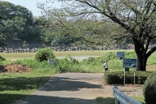 公園すぐわきを流れる利根川