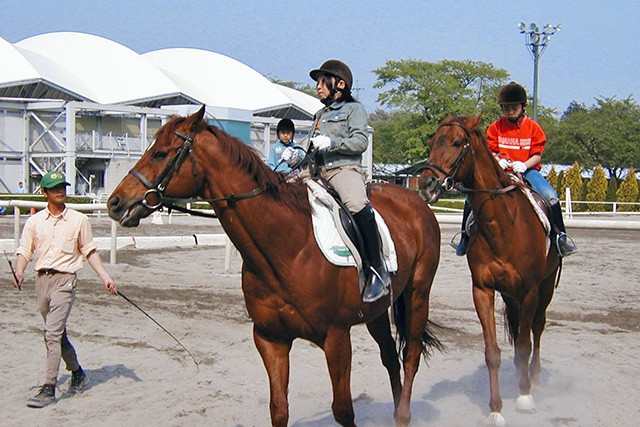 群馬県馬事公苑 - 群馬・前橋のテーマパーク